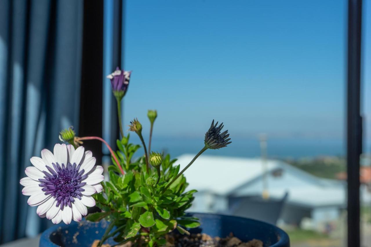 Blue Star Villa Tergniet Buitenkant foto